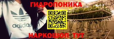твердый Будённовск