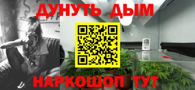 твердый Будённовск