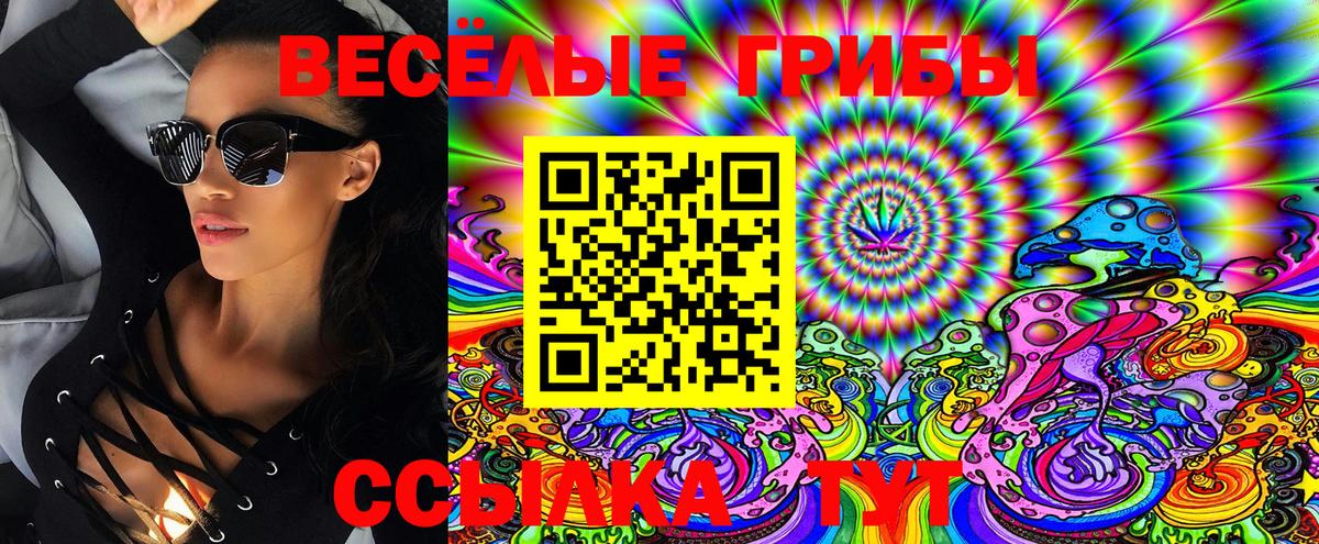 Псилоцибиновые грибы Magic Shrooms Самара