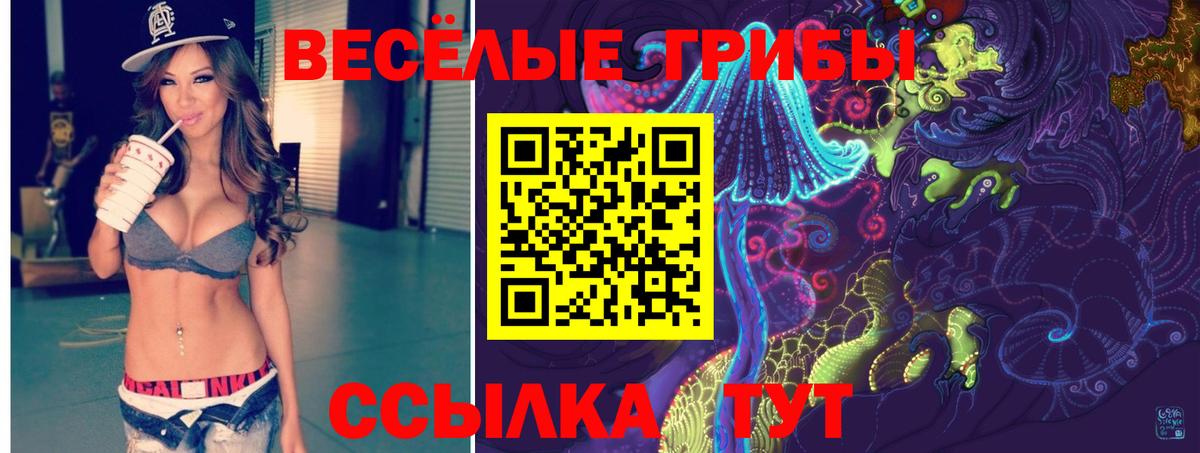 Псилоцибиновые грибы GOLDEN TEACHER  Вход с VPN  Самара  Галлюциногенные грибы ЛСД 